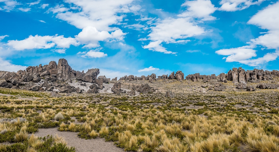 bosque-piedras-imata-catarat-pillones